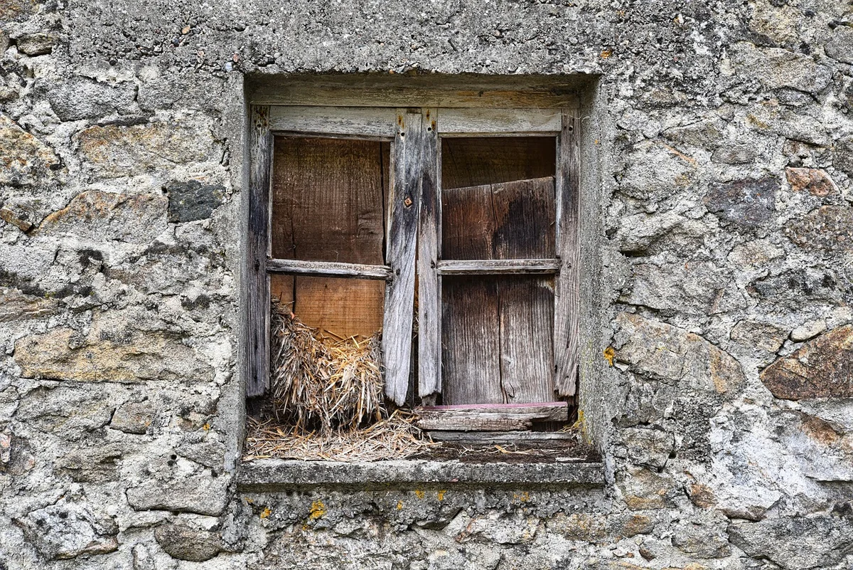 Châssis ou moteur : par où commencer ?